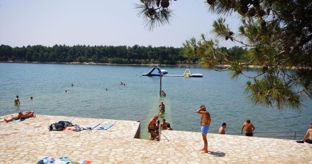 Apartman Tea Novigrad  ภายนอก รูปภาพ